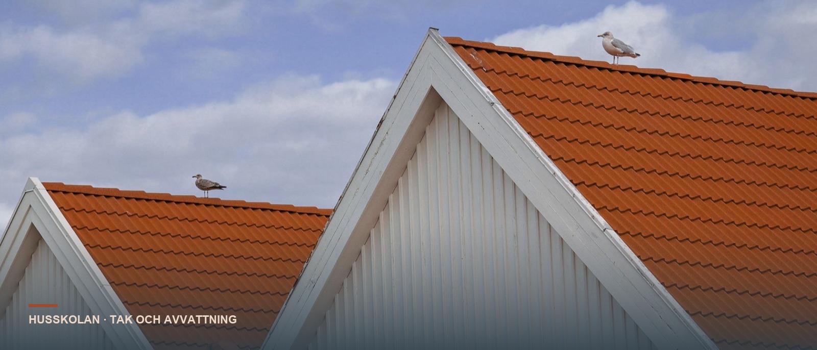 Sadeltak med orangea betongpannor och vita trägavlar på svenska småhus