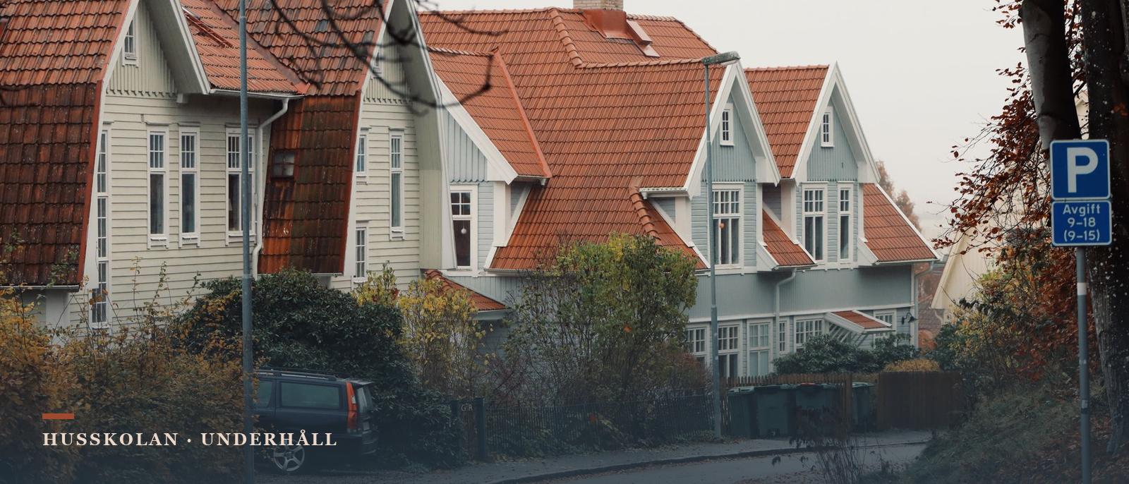 Villagata i senhöst med lövtäckt vägbana och äldre trävillor med tegeltak och hängrännor