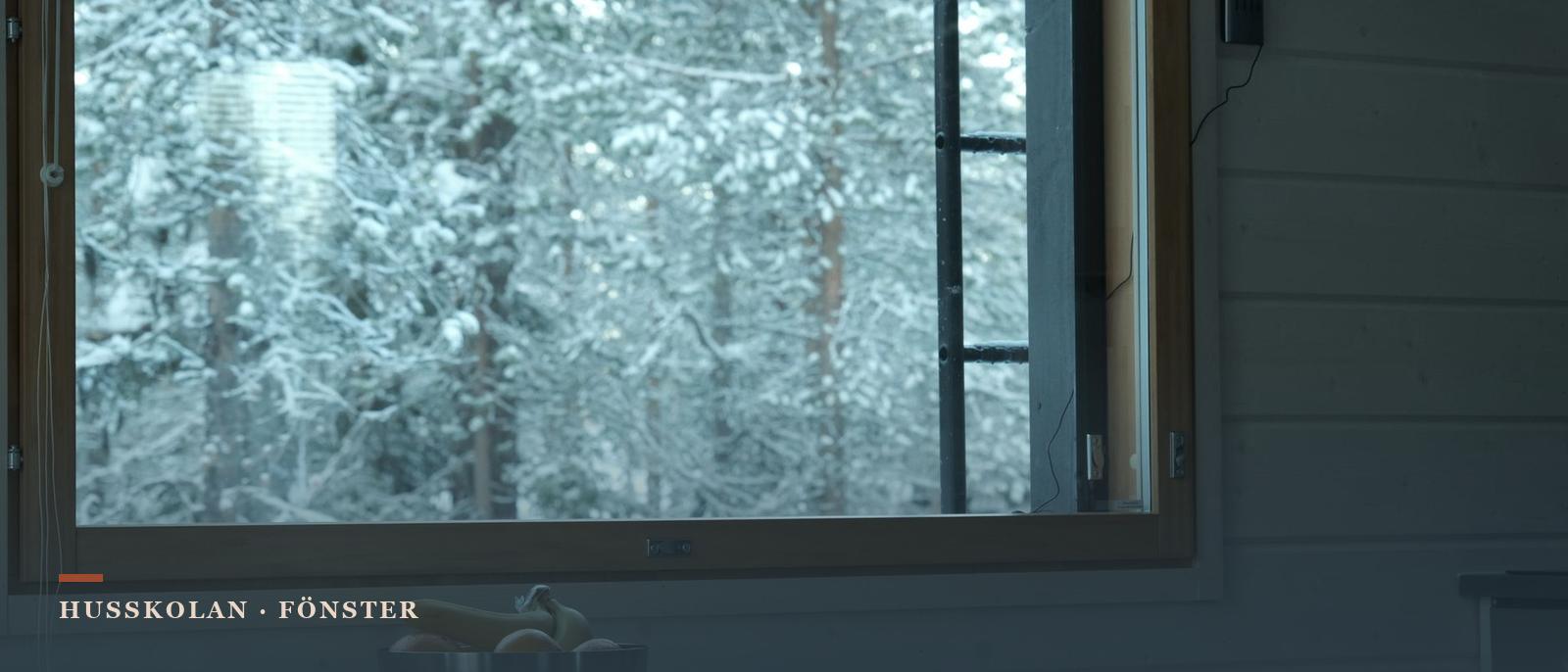 Fönster med träram i ett panelklätt rum med snötyngd barrskog utanför rutan